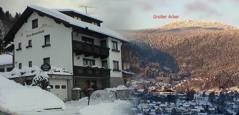 Hotel Haus Sonnenbichl Bodenmais Exterior foto